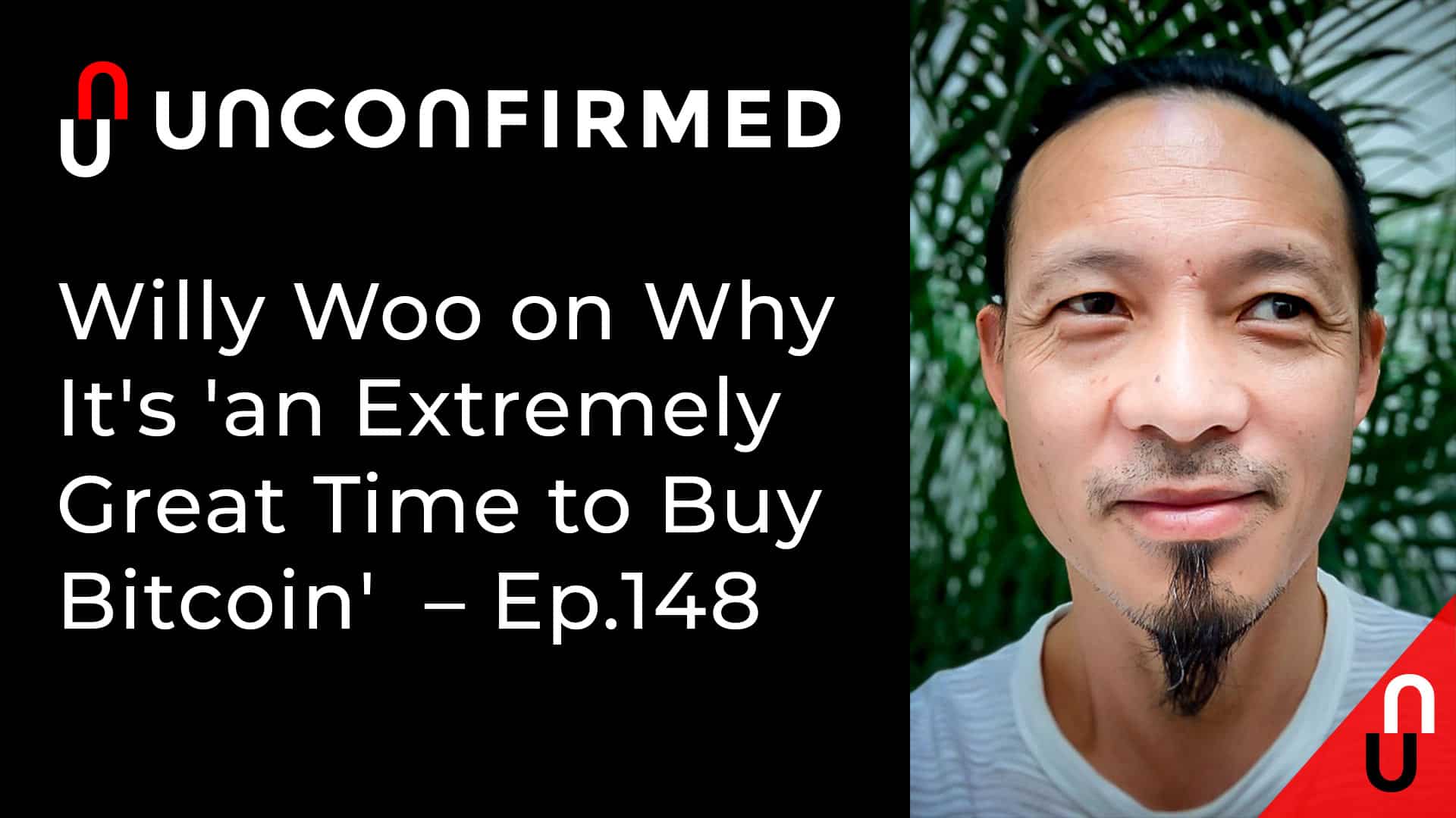 Willy Woo on Why It's 'an Extremely Great Time to Buy ...